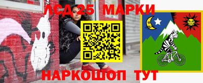 амф Новодвинск