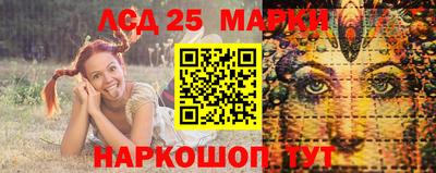 амф Новодвинск