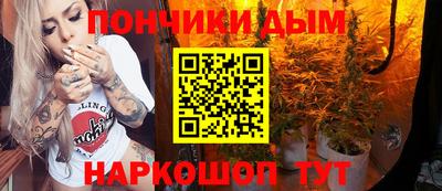дмт Новокубанск