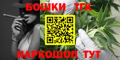 дмт Новокубанск