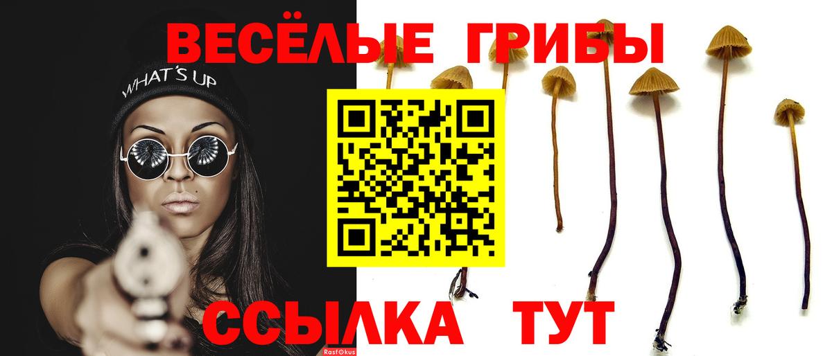 где продают наркотики  Псилоцибиновые грибы мухоморы  Вход с VPN  Таганрог 